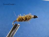 Cased Caddis